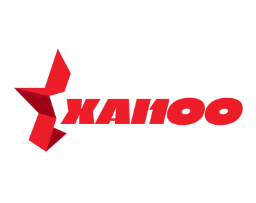 XAI100 Inc.